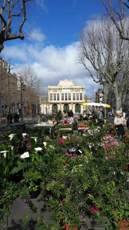 Appartement Centre Historique Béziers Dış mekan fotoğraf